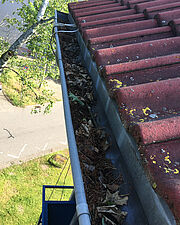 Regenrinnenreinigung