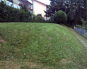 Garten nach Umgestaltung